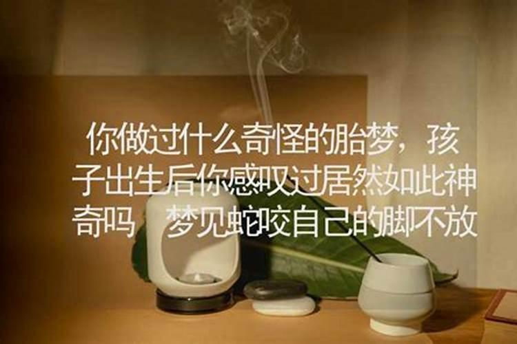 梦见蛇咬我的脚是胎梦吗