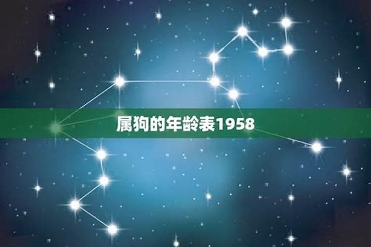 1958年属狗人2021年灾难