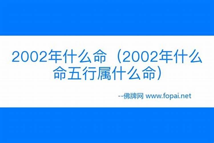 2002年什么命