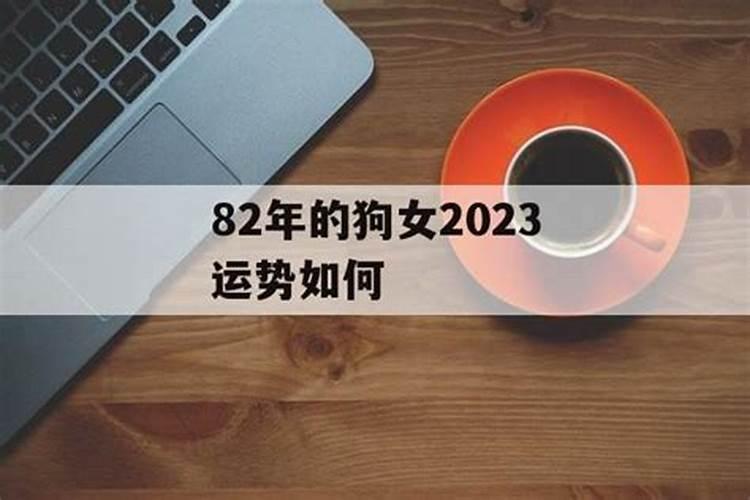 82年属狗女人2023年运势如何