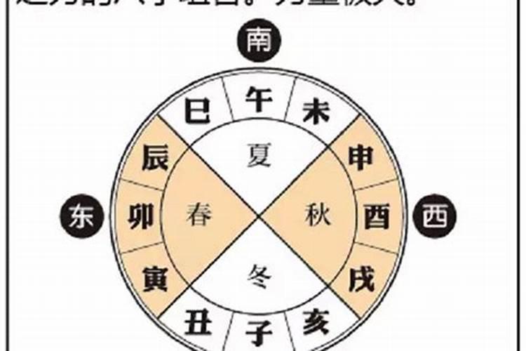 道士批八字算命准吗