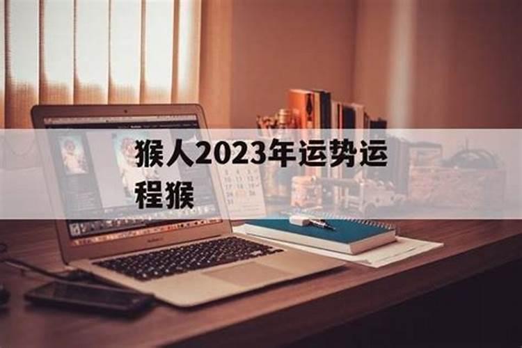 狗猴人2023年运势运程如何