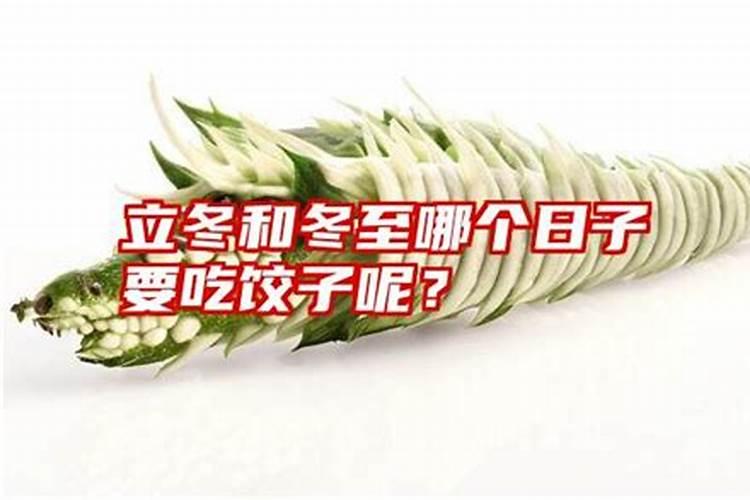 冬至哪个季节吃最好