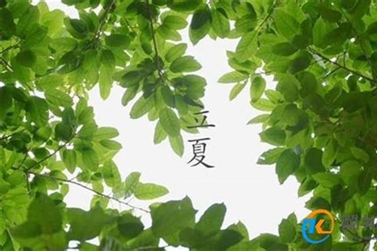 夏至与小暑之间算什么