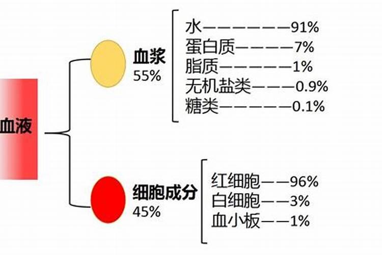 梦见自己准备去献血