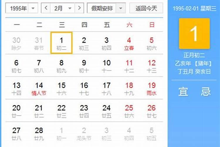 1995正月初五是什么命