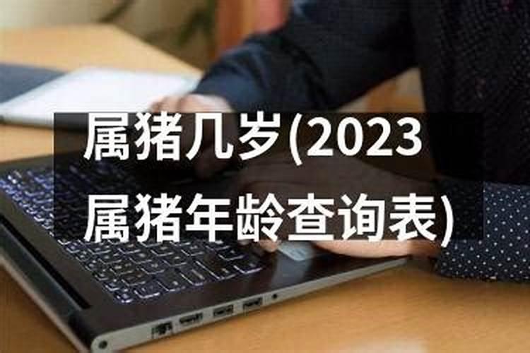 2022属猪年龄查询表