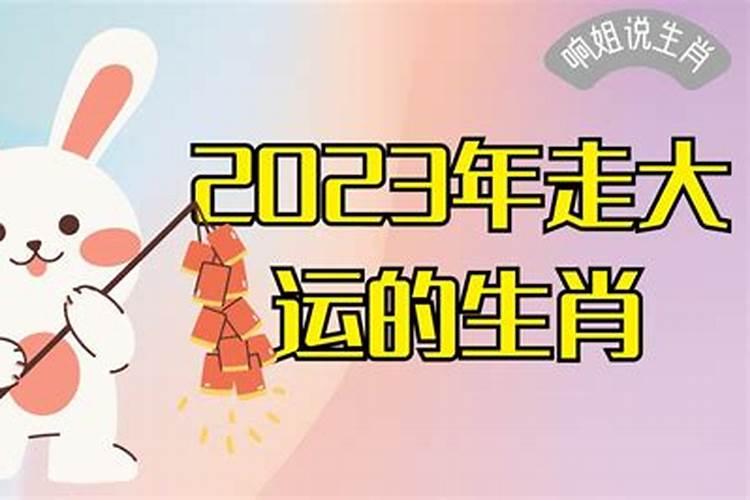 八字感情运势2023年大运怎么看