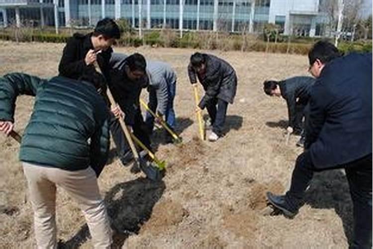 梦见已故亲人挖土