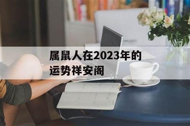 属鼠人在2023年的运势祥安阁