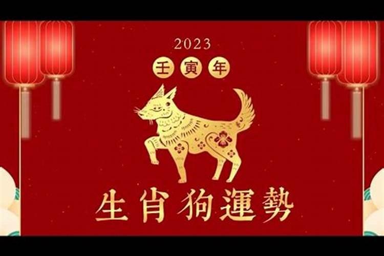 生肖狗兔年运势2023