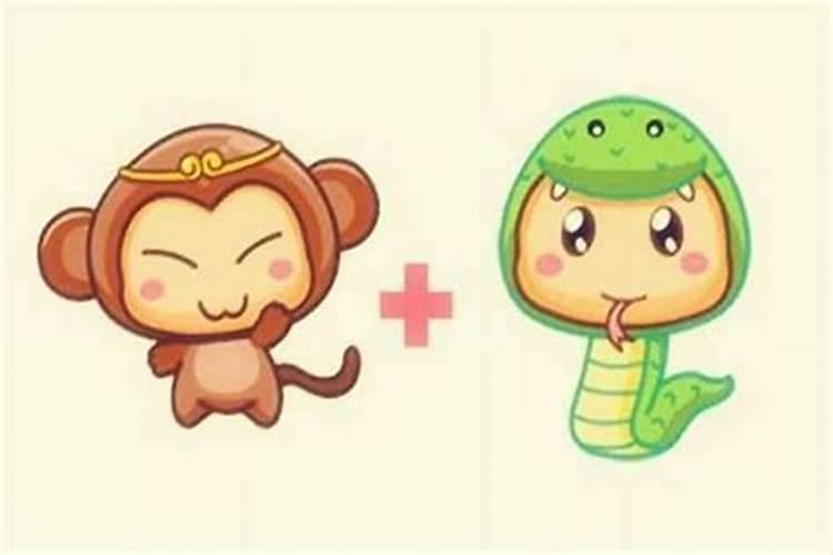 蛇和猴配婚姻如何