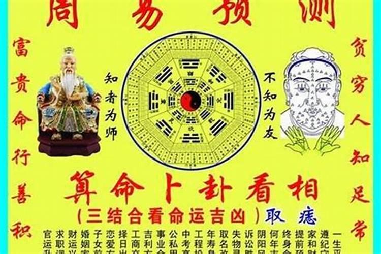 属猪什么年份犯太岁最好