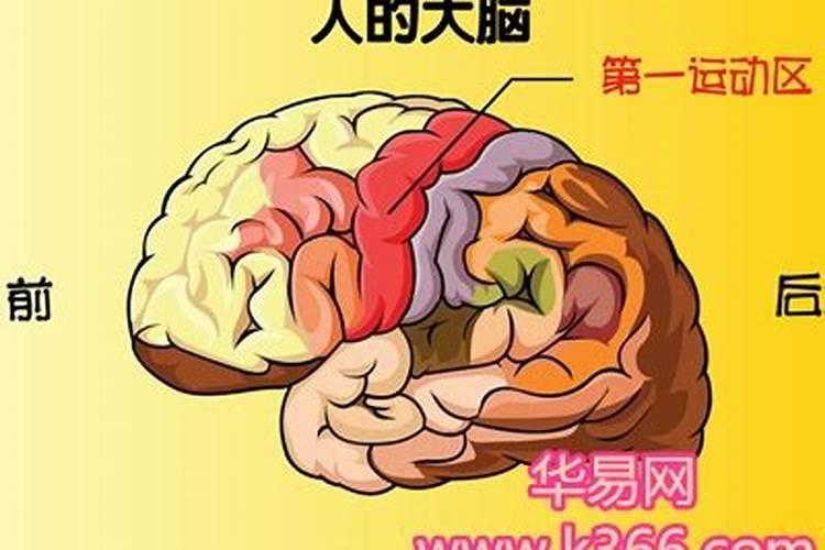 做梦梦到外孙脑子有问题