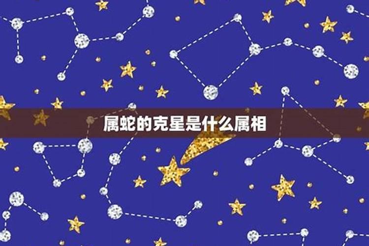 属马的克星是什么