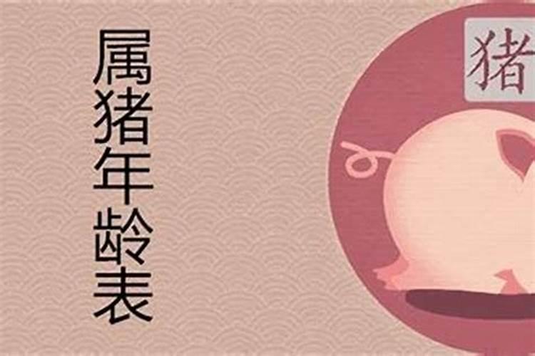 2021属猪今年多大年龄