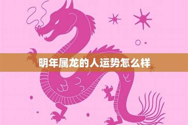 明年属龙的运势如果