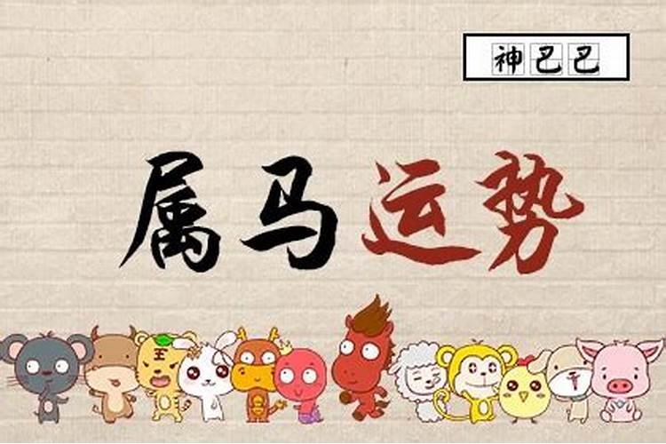 属马今年4月到5月的运势