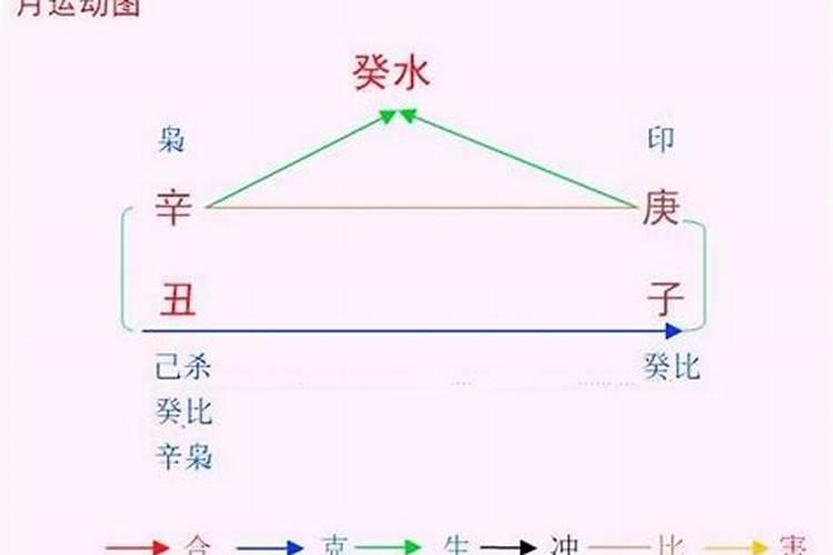 2023年八字重量