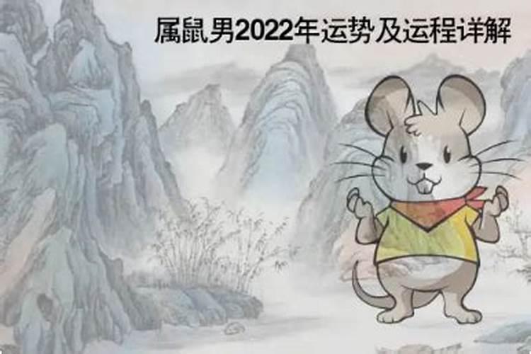 81年属鼠2023年运程