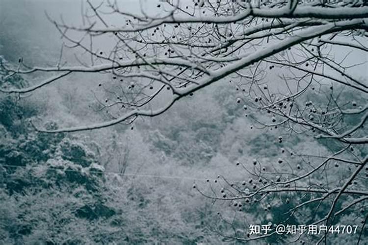 冬至那天下雪吗