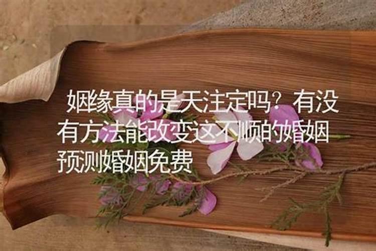 姻缘天注定八字测婚姻