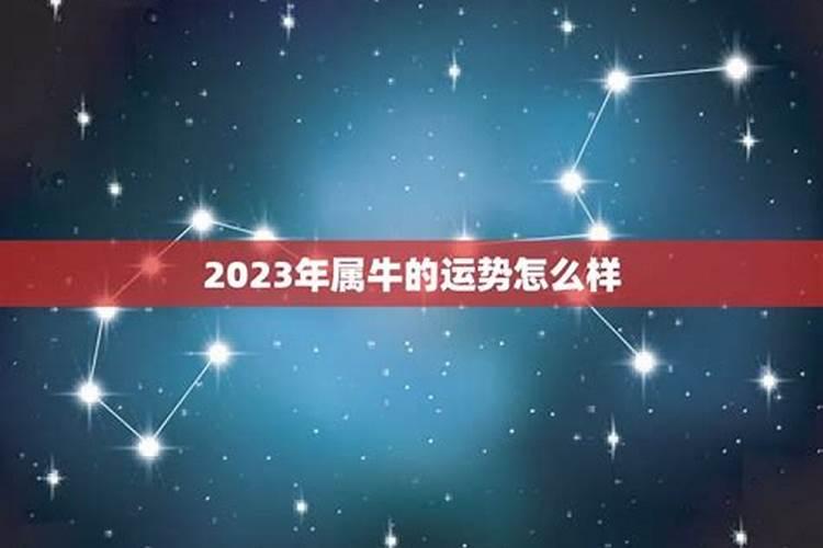 属牛女2023年1月运势如何样