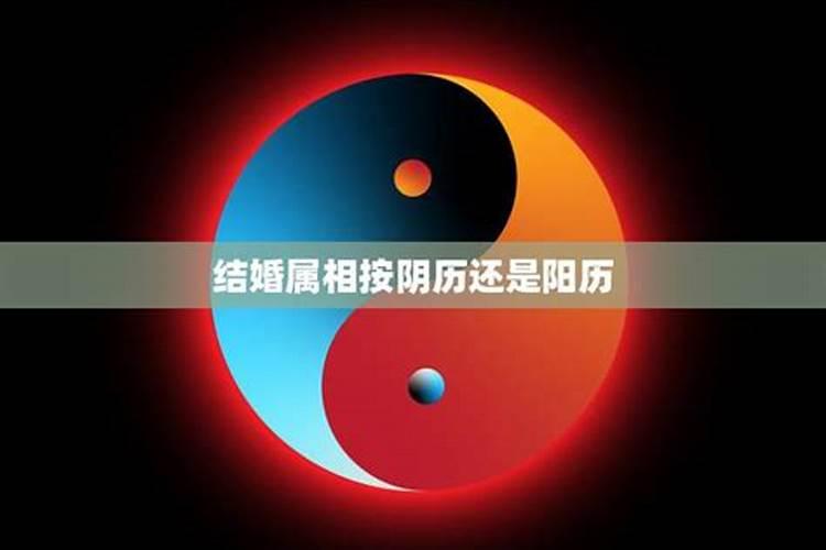 刑太岁的蛇2024年太难了