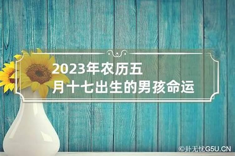 属猪在2023年农历5月的运程如何