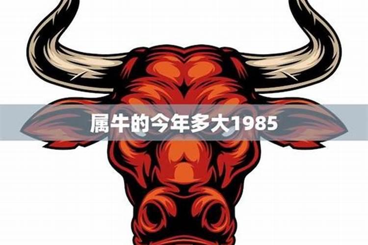 1985属牛10月出生运程