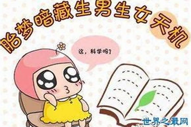 梦见大的肚子孕妇生孩子什么意思