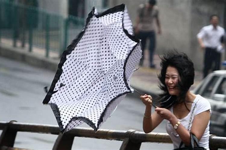 怀孕梦见刮风下大雨