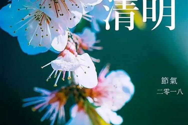 清明时节雨纷纷祭奠逝去的亲人