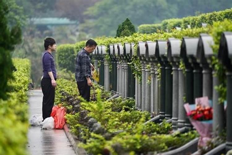 清明先祭人谷雨催播种