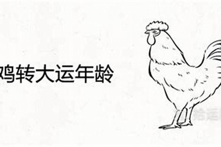 1981属鸡的大劫