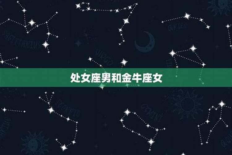 感情运势看什么星座好