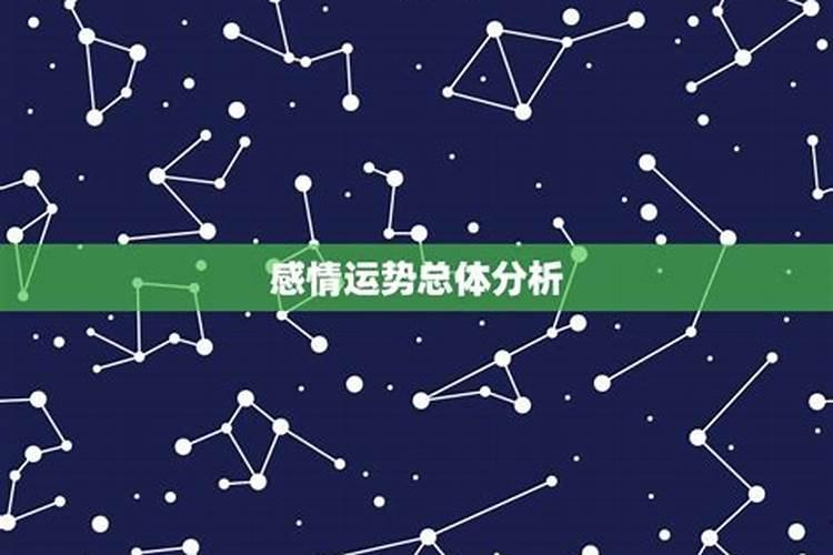 感情运势看什么星座好