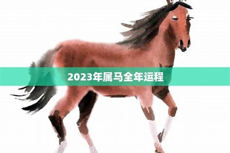 2023年属马的运程和运势