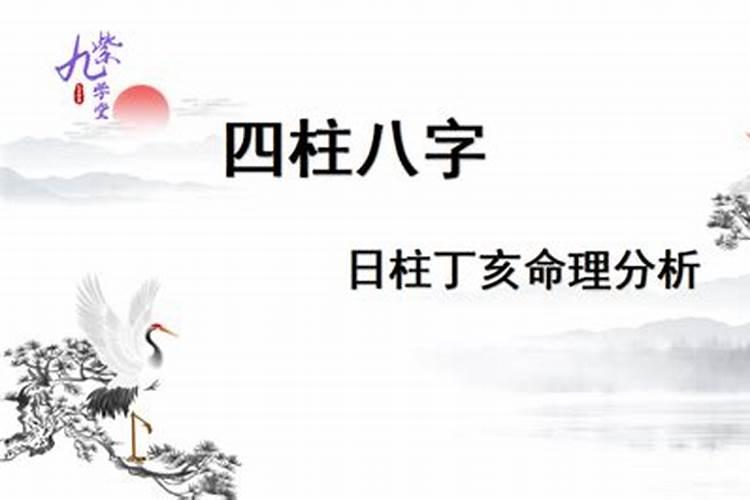 八字算命丁亥是什么意思