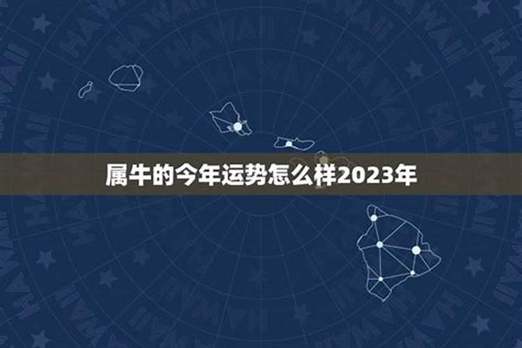 属牛2023年十月运程如何