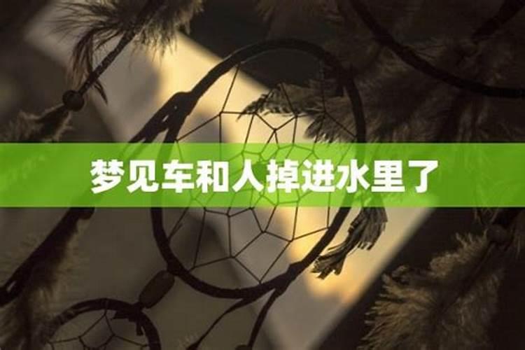 梦到车掉水了人在岸上