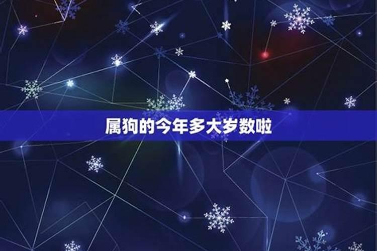 2018年属狗的今年多少岁