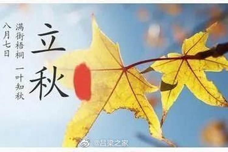 立秋是一年中第几个节气