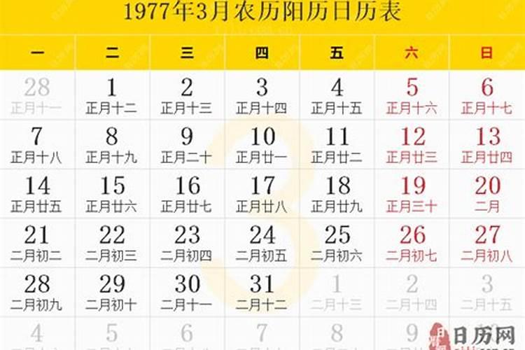 1973年出生的今年运势