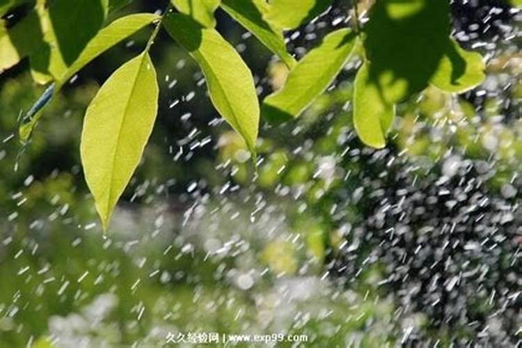 梦到晚上下雨暗示什么预兆