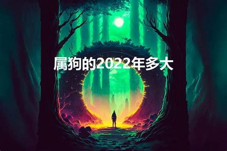 1994年属狗2022年虚岁多大