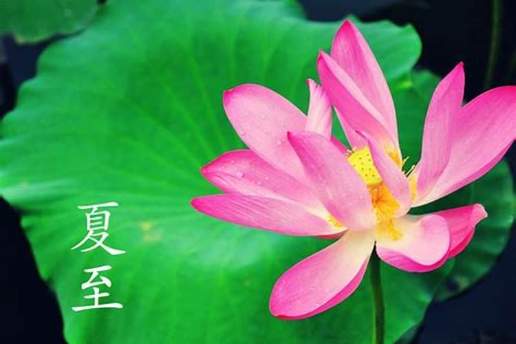 24节气的夏至是什么意思