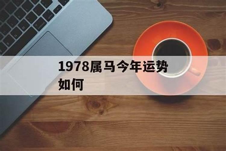 1978属马今年的运程