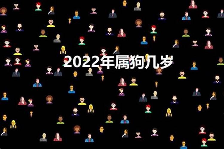 属狗人2022年运程大家找