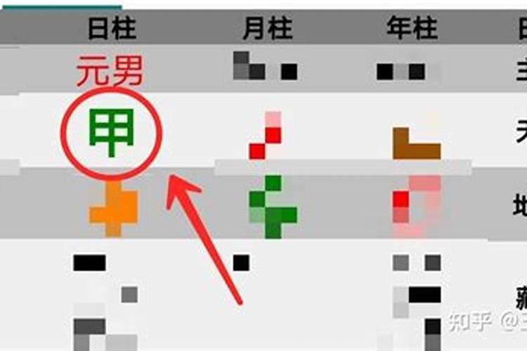 八字中的木代表什么